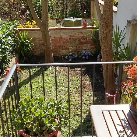 Garden In Firenze