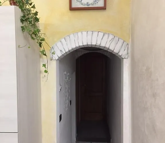 Garden In Florence