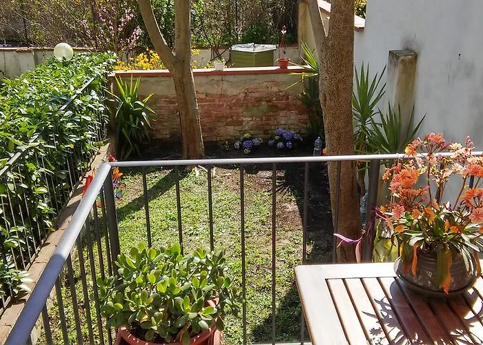 Garden In Florence