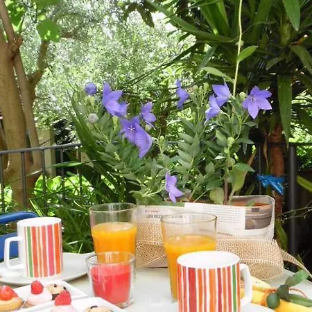 Apartment Garden In Florence