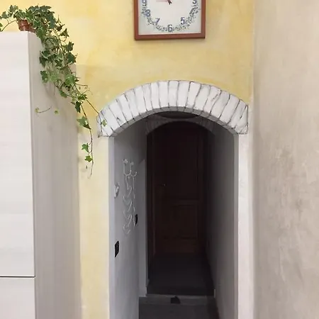 Garden In Florence
